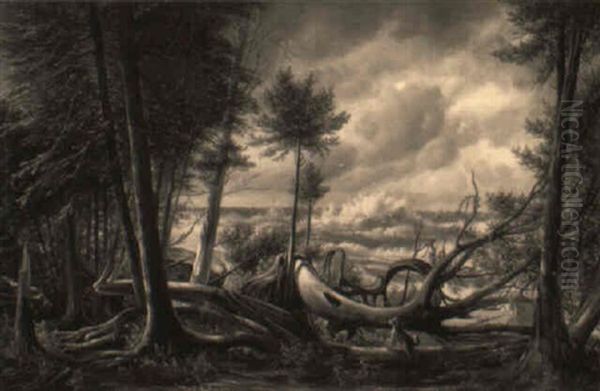 Stormy Landscape - view 1