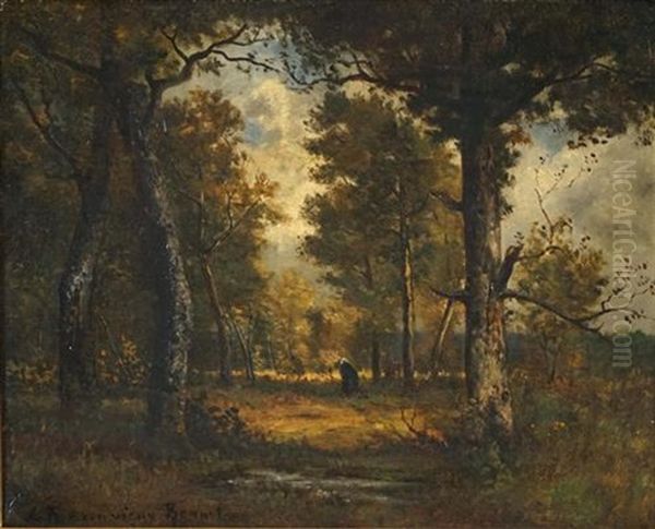 Forest De Fontainbleu - view 1