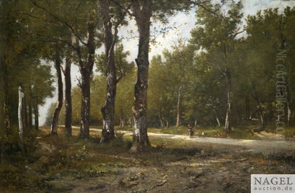 Sonnige Allee Im Wald Mit Einer Reisigsammlerin - view 1