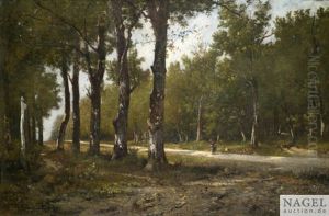 Sonnige Allee Im Wald Mit Einer Reisigsammlerin Sonnige Allee Im Wald Mit Einer Reisigsammlerin