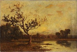 Effet De Soleil Sur L"etang
