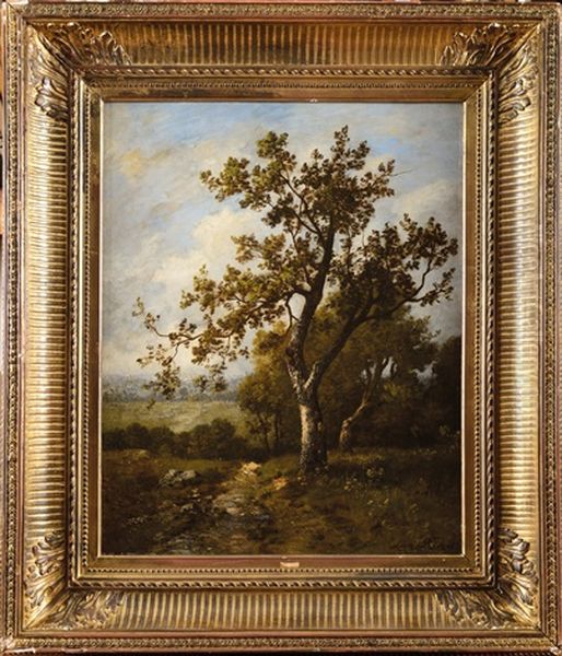 Arbre En Foret - view 1