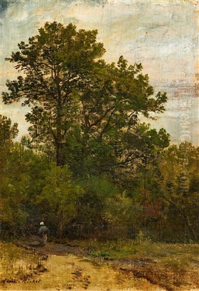 Waldlandschaft - view 1