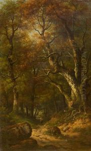 Forest Landscape Forest Landscape