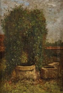 Jardin Au Puit