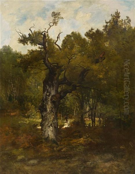 Waldlandschaft - view 1