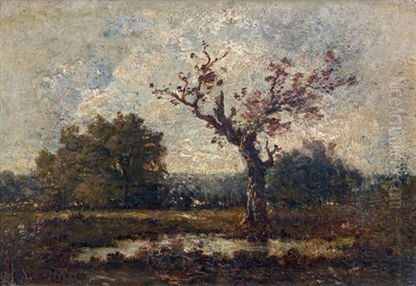 Arbre Au Bord D'une Mare - view 1