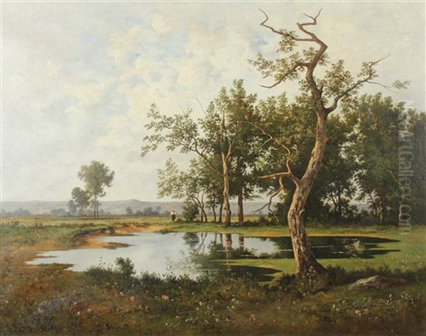 Weiher Am Waldrand - view 1