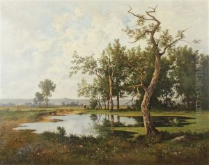 Weiher Am Waldrand