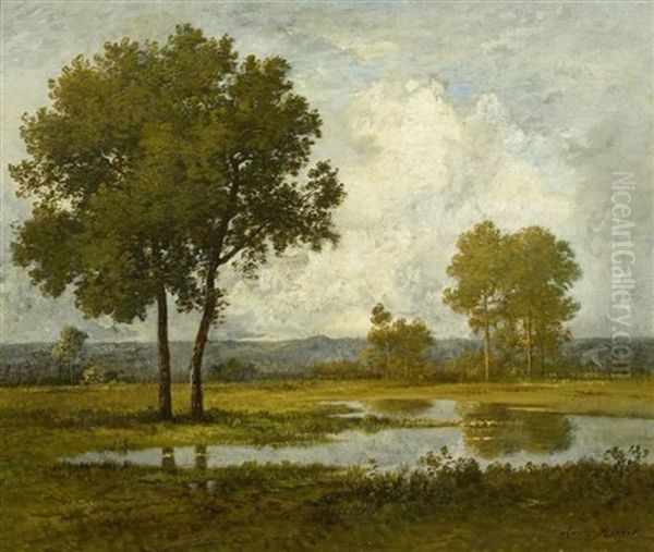 Moorlandschaft - view 1