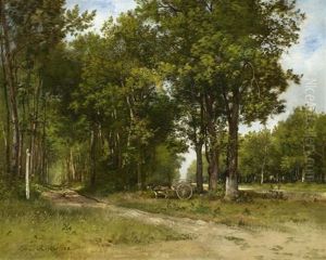 Fuhrwerk Mit Einem Esel An Einem Waldweg