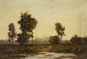Weite Landschaft Mit Tumpel