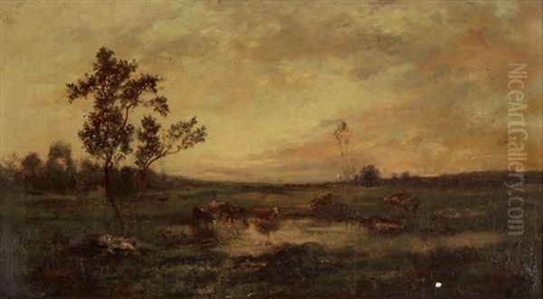 Teichlandschaft Mit Kuhherde - view 1