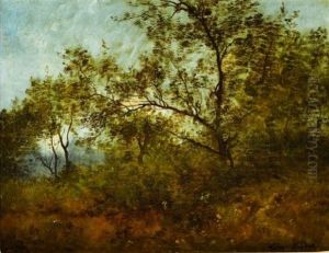 Effet De Lumiere A Travers Les Arbres by Leon Richet