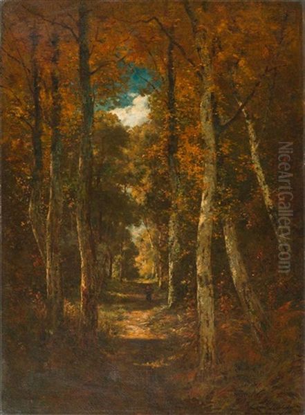 Frau Auf Einem Waldweg - view 1