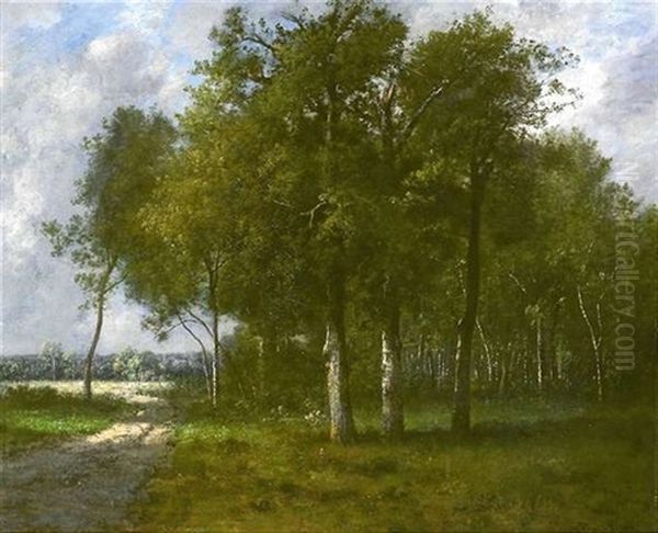 Sommerliche Landschaft Am Waldrand - view 1