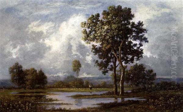 Foret De Fontainebleau - view 1