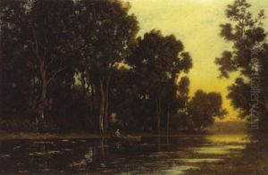 Teichlandschaft Mit Ruderboot