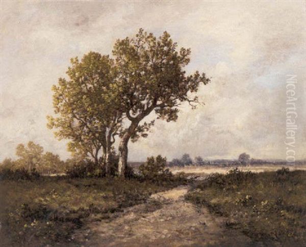 Stream Near A Wooded Landscape - view 1