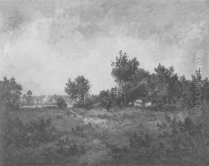 Paysage D'ete