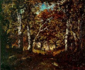Sous-bois