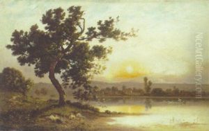 A Wooded Lake