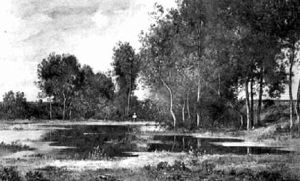 Paysage A L'etang Paysage A L'etang
