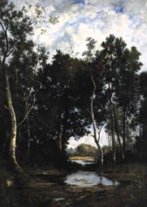 Point D'eau Dans La Clairiere