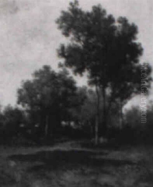 Une Mare Dans La Foret - view 1