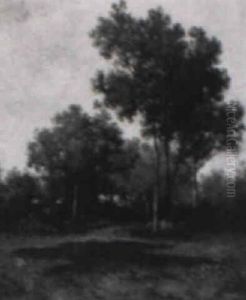 Une Mare Dans La Foret Une Mare Dans La Foret