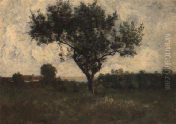 Paysage A L'arbre - view 1