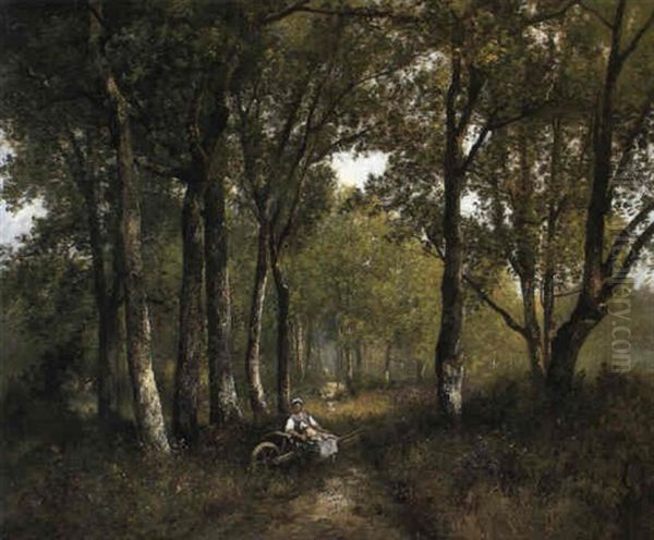 Resting Under A Canopy Of Trees - view 1