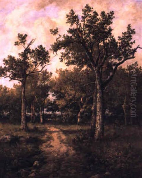 Chemin Dans La Foret - view 1