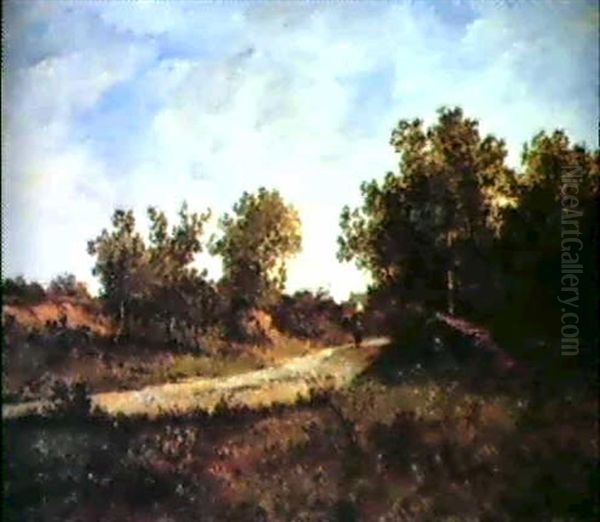 Sur La Route Vers Le Village - view 1