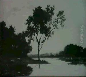 Le Grand Arbre Au Bord De L'etang
