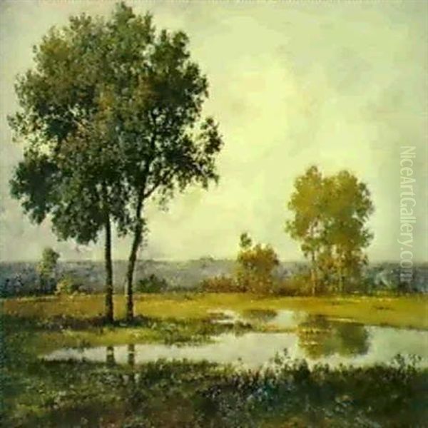 Weite Teichlandschaft Mit Baumgruppen - view 1