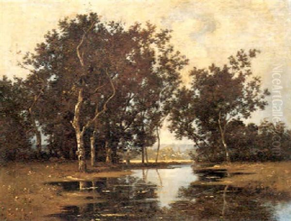 A Wooded Stream - view 1