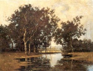 A Wooded Stream