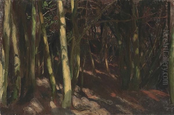 Trees - view 1