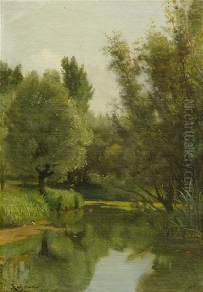 Flussufer Im Spatsommer - view 1