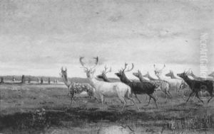 Damwild by Albert Richter