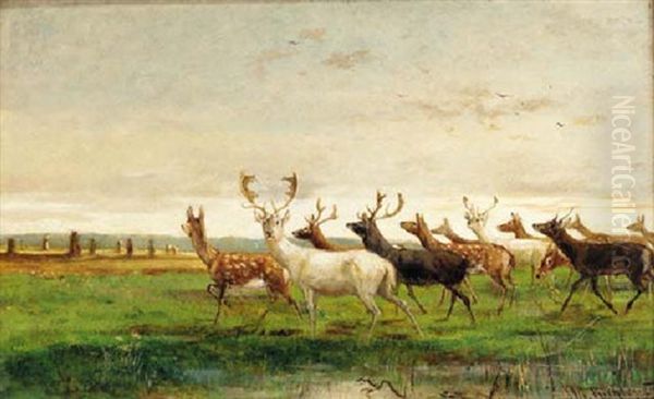 A Herd Of Deer In A Landscape - view 1