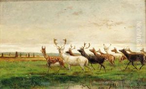 A Herd Of Deer In A Landscape