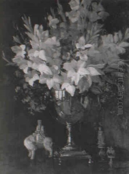 Gladiolus - view 1