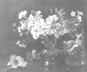 Polyanthus