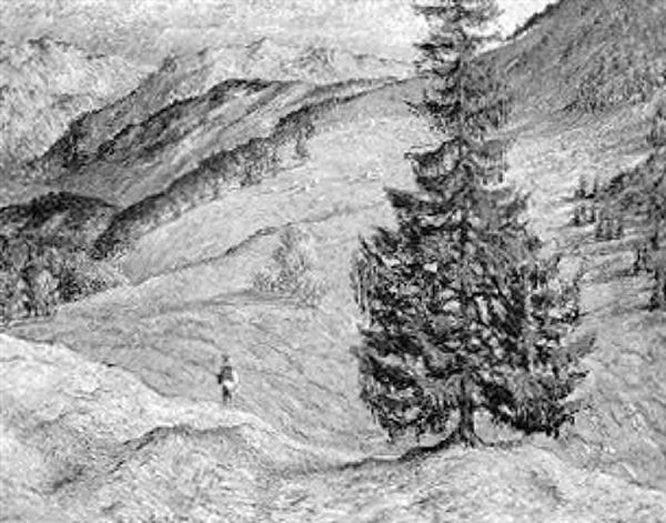 Benediktenwand - view 1