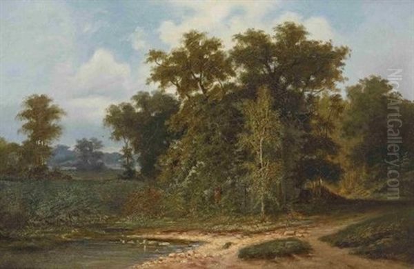 Baumlandschaft Mit Weiher - view 1