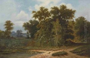 Baumlandschaft Mit Weiher