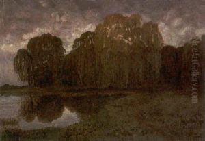 Seeufer Mit Trauerweiden Am Sommerabend