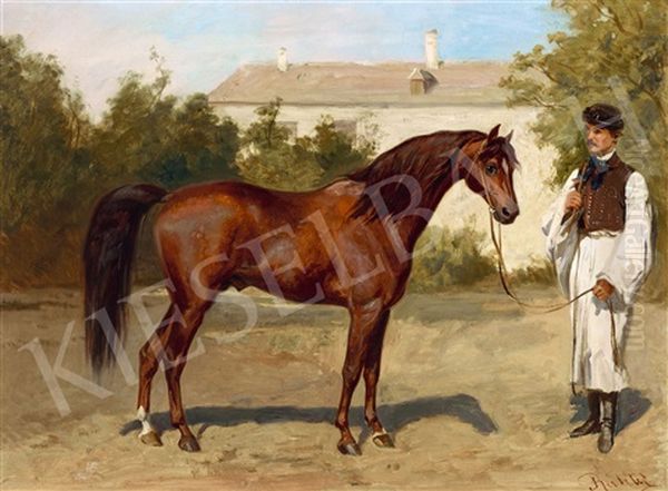 Horse With Hungarian Stableman In The Castle Garden - view 1